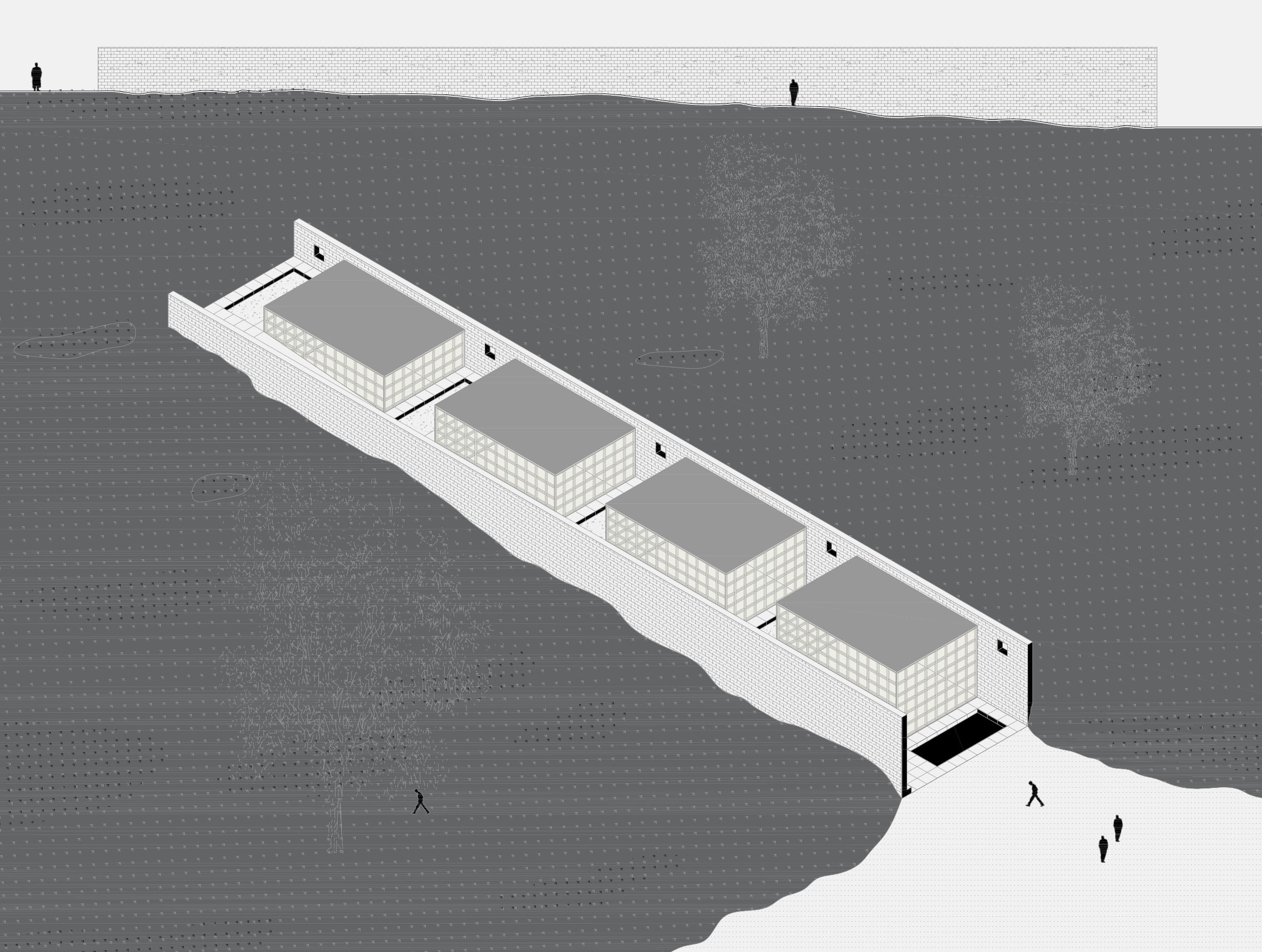 Team212020 02 24T17 19 000003