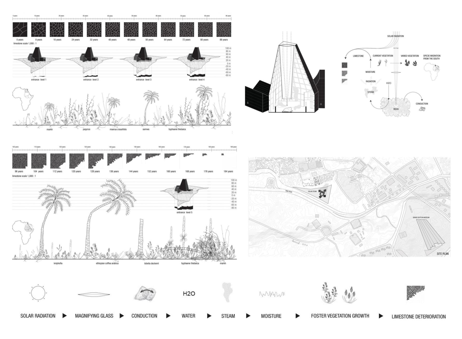 Team212020 08 18T21 50 000014