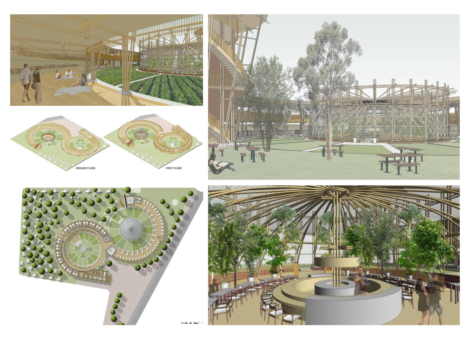 Team212019 12 5T12 00 000000