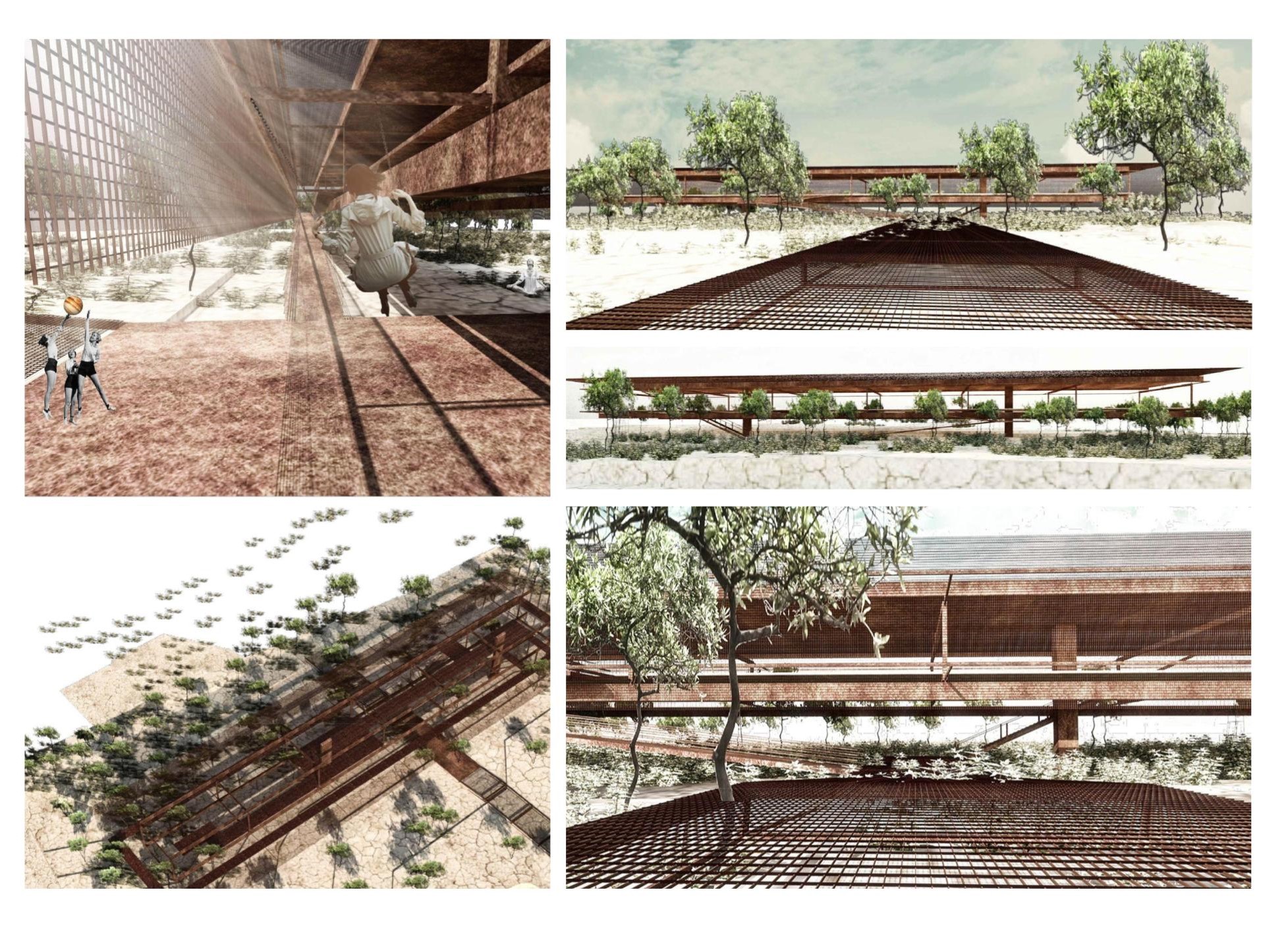 Team212019 12 5T12 01 000007