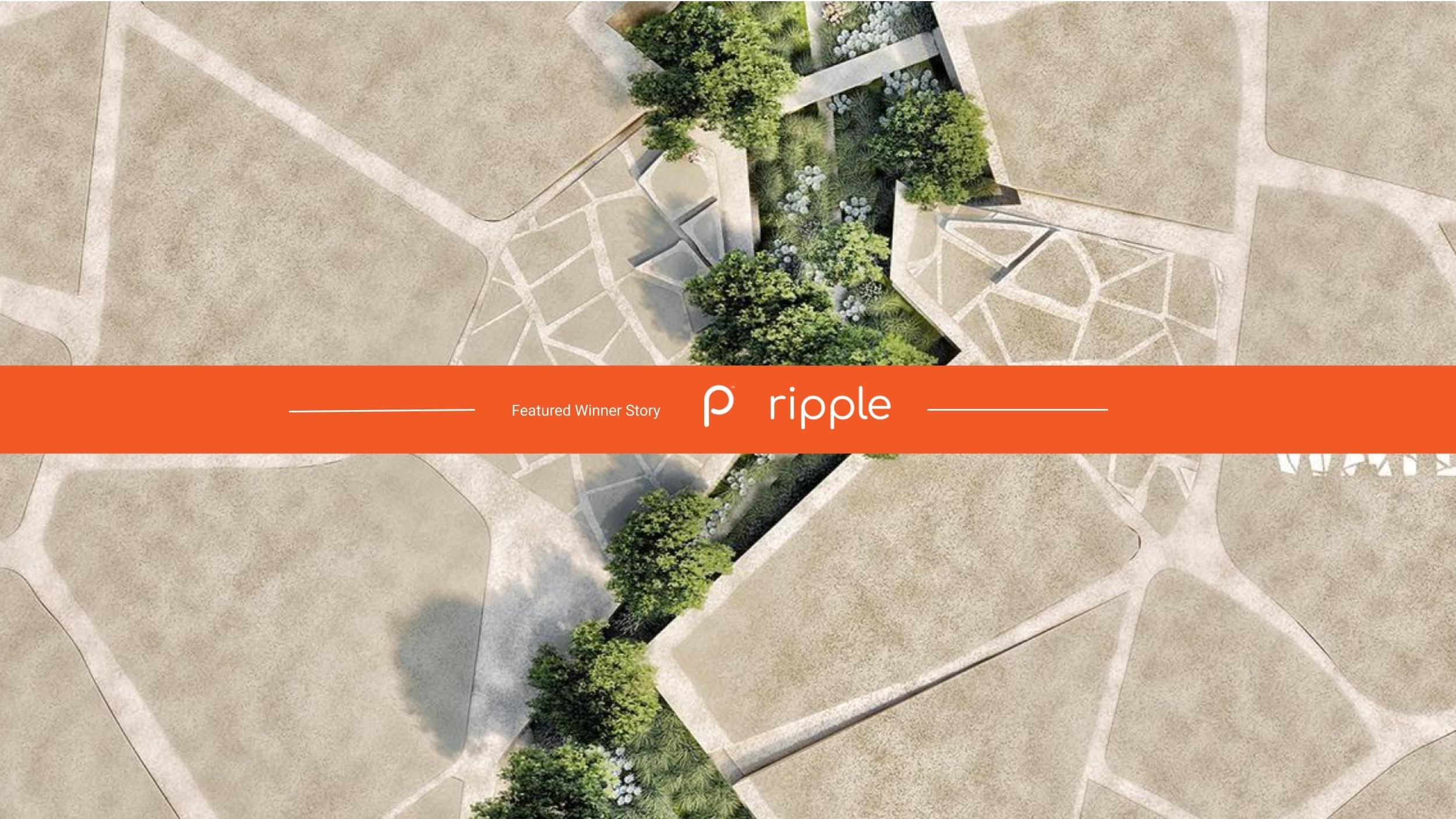 Reconnecting with water through architecture